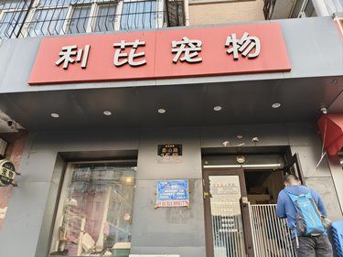 撸猫体验