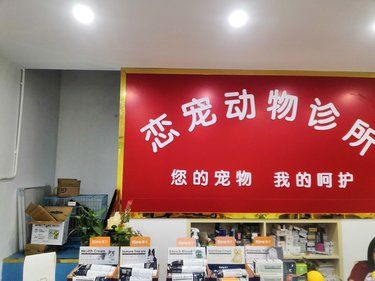 带着毛孩子洗澡的一天