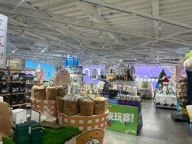 带小狗来EKA天物空间发现好逛的宠物用品店