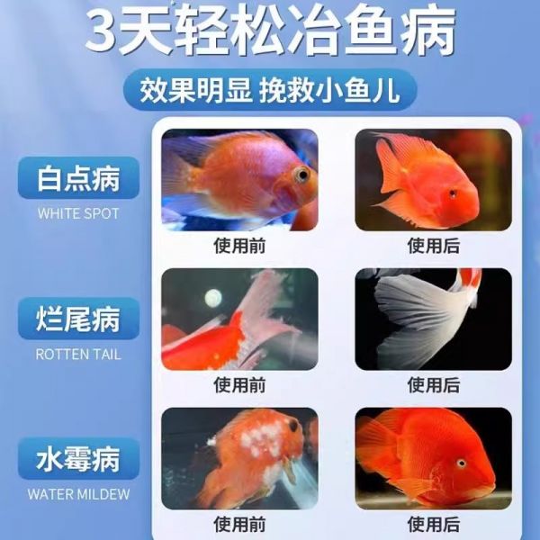 鼎火百汇其他益生菌