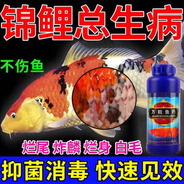 速发好用正货f观赏鱼专用药急救锦鲤烂身烂尾烂鳃白点鱼病鱼缸消