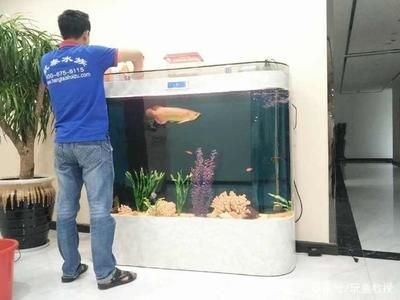 鱼缸摆放如何影响家居气场？：如何正确布置家中的鱼缸 鱼缸百科 第2张