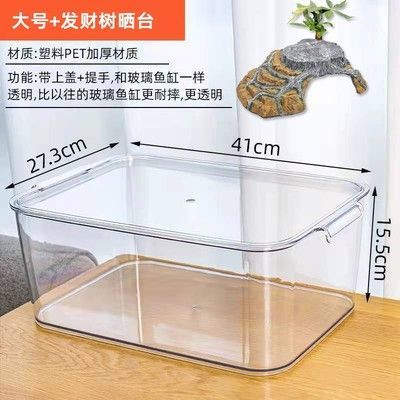 六角恐龙鱼在鱼缸里怎么布置（六角恐龙鱼缸底床材料推荐六角恐龙鱼缸底床材料推荐）