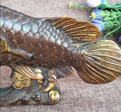 金龙鱼鱼缸放什么最好风水（金鱼缸摆放的最佳方位金龙鱼摆件的招财技巧）