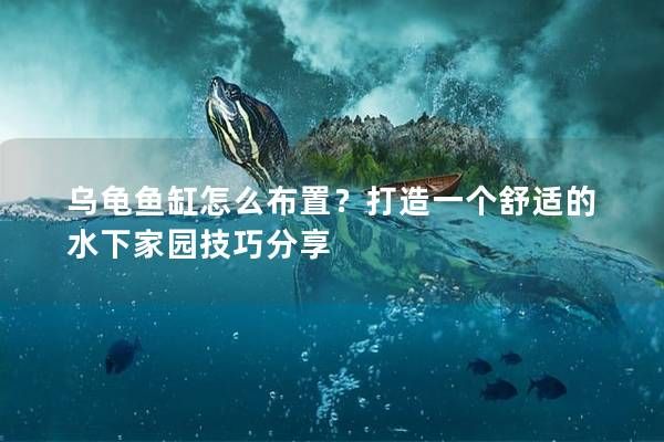 乌龟鱼缸怎么布置？打造一个舒适的水下家园技巧分享