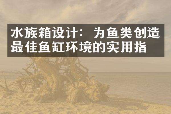 水族箱设计：为鱼类创造最佳鱼缸环境的实用指南