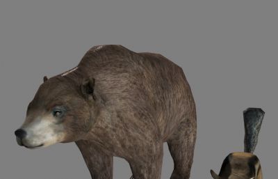 棕熊+松鼠maya简模,文件有maya,fbx,obj