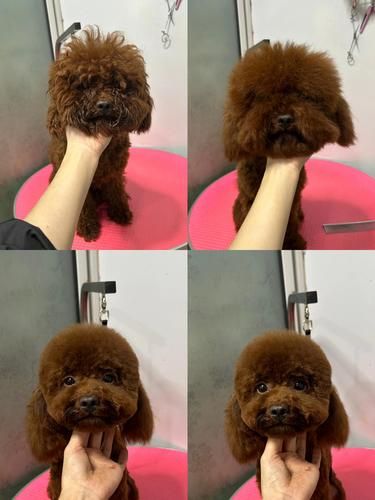让我看看是谁这么可爱