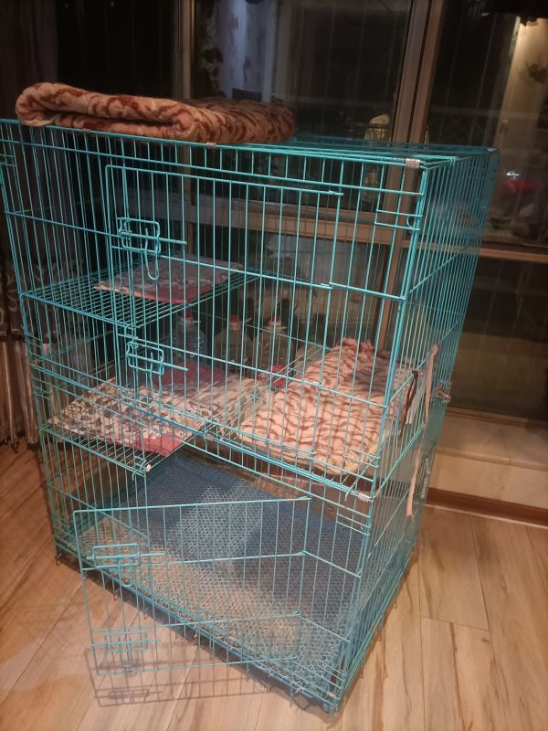 宠物笼便宜处理啦