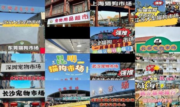 最大的宠物用品批发市场在哪里