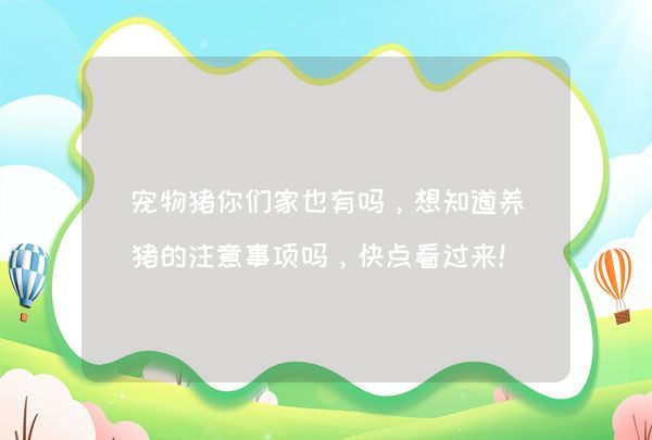 宠物猪你们家也有吗，想知道养猪的注意事项吗，快点看过来！,第1张
