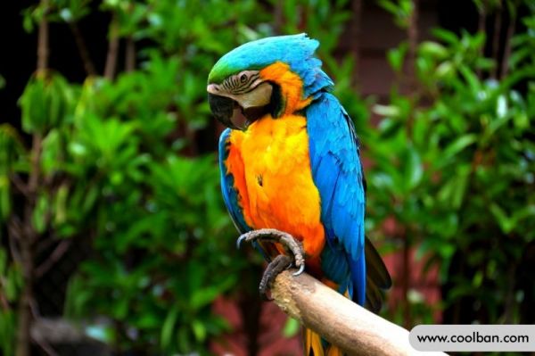 https://cdn.coolban.com/ehow/Editor/2022-05-01/626e49fcf22a0.jpg