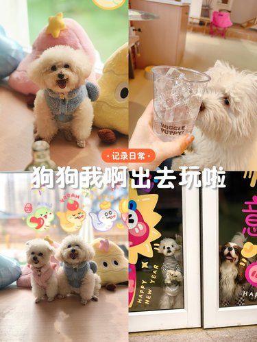 我是你的全世界，你是我的可爱多