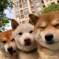 https://p0.meituan.net/userheadpicbackend/1ef625c2d34ec00d7459758ddece82b1768953.jpg%40120w_120h_1e_1c_1l%7Cwatermark%3D0