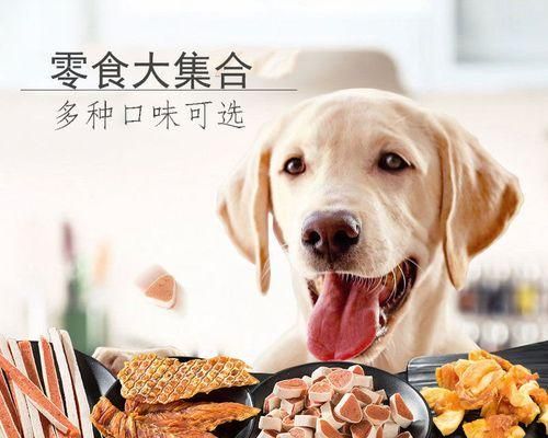 训练狗的书有什么好处？如何选择合适的训练书籍？