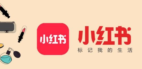 宠物控必看！宠店外墙风！