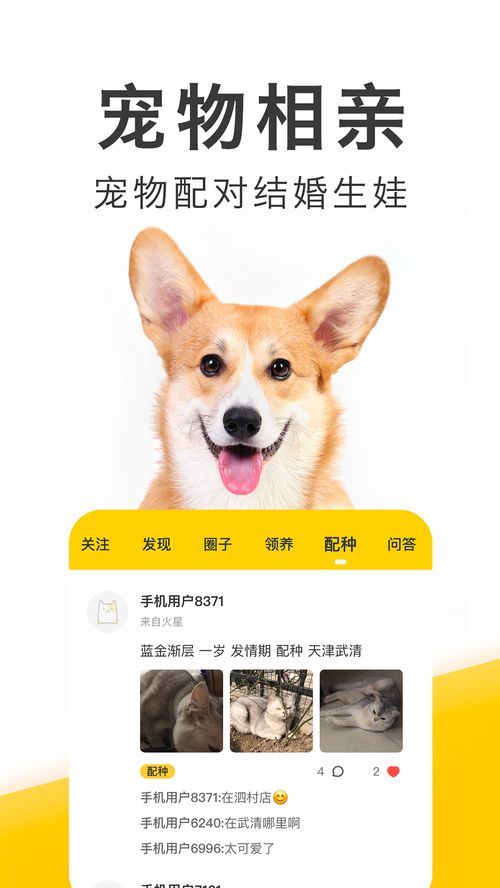宠物日常分享,宠粉聚集地