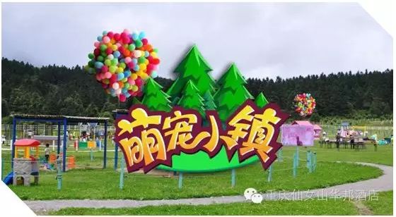 探秘沙洋萌宠乐园，一个充满爱与欢乐的宠物天堂