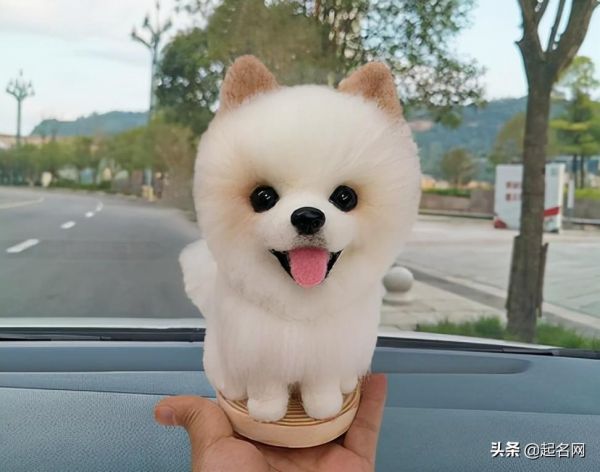 萌宠乐园接待场地，打造温馨舒适的宠物天堂