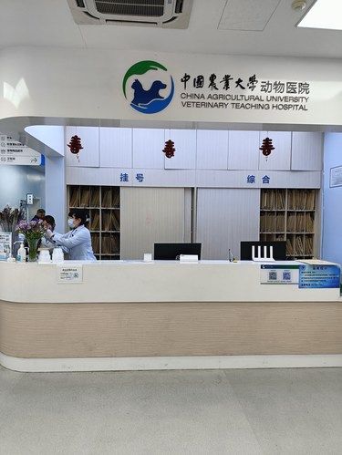 感谢医生的每一天