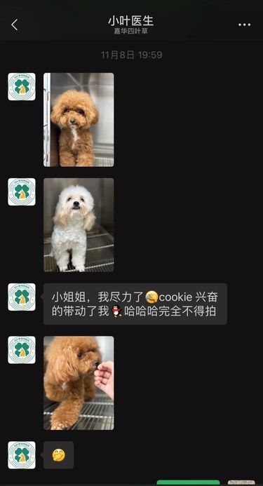 养狗十年 在天津遇到了最满意的宠物医院…