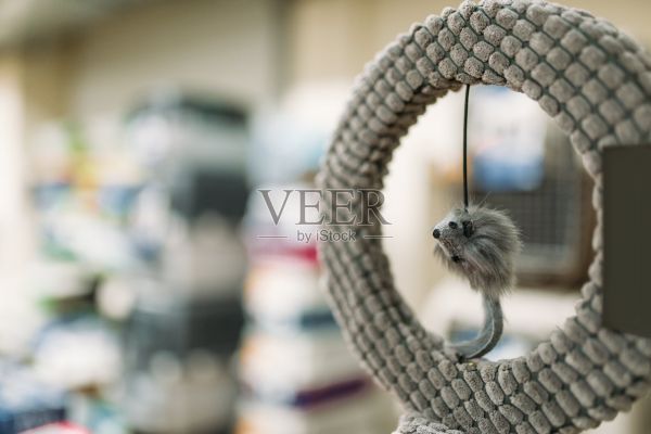 宠物店，老鼠戒指，猫的配件照片摄影图片