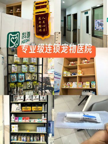 专业级连锁宠物医院