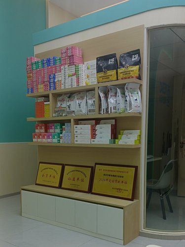 宠物洗澡新体验 | 科道动物医院辛家地分院