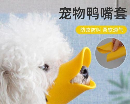 为什么不能给狗吃烫的食物（探究狗狗对烫的食物的反应及危害）