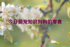 今日萌宠知识狗狗的零食