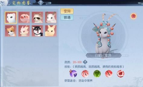 浮生为卿歌宠物变异地点在哪，变异猪去哪里抓