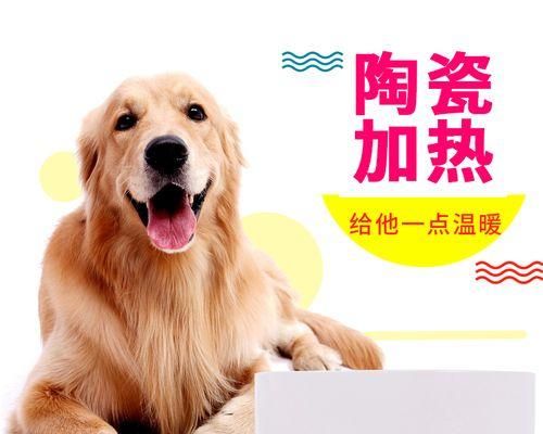 了解宠物小猫咪的饮食需求（了解宠物小猫咪的饮食需求）