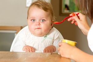宝宝食谱的喂养原则
