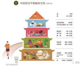 “宠物饮食指南:选对食物,爱宠更健康”