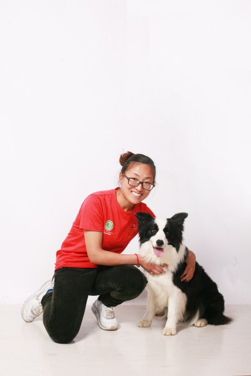 国际知名训犬师-刘小芹