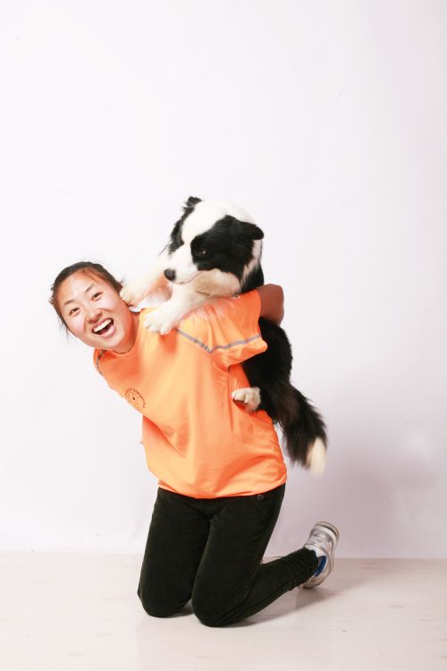国际知名训犬师-刘小芹