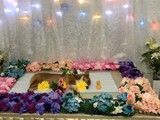苏州沧浪猫猫火化服务-专业宠物火化 价格透明