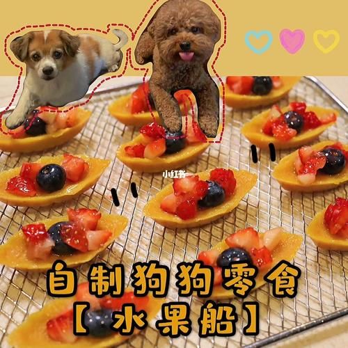 宠物自制零食做法大全（宠物自制零食做法大全图片）