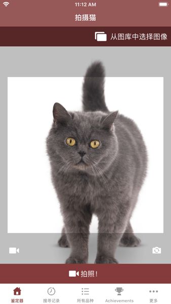 猫咪鉴定器app下载
