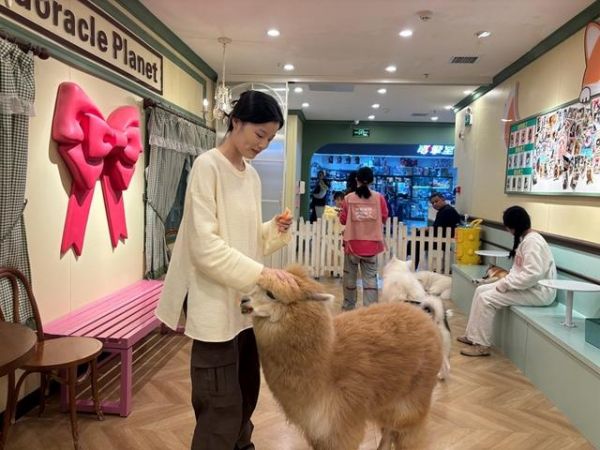 科学养宠推动宠物用品市场升级