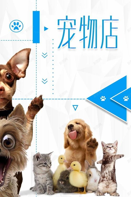 外星萌宠圈,宠物生活指南