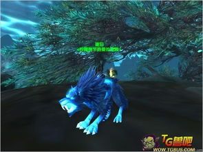 揭秘！魔兽世界诺森德猎人必抓的顶级稀有宠物清单 1