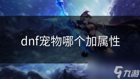 dnf宠物哪个加属性