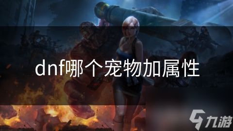 dnf哪个宠物加属性
