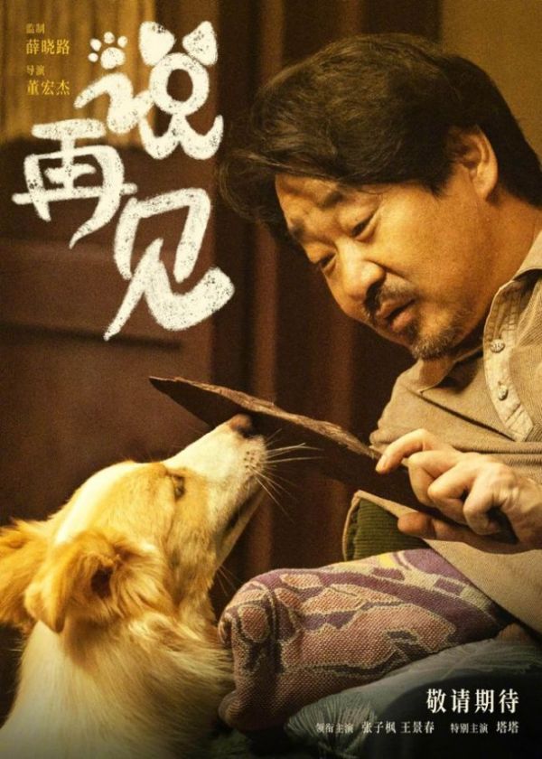 我会好好的定档 治愈系宠物电影来袭
