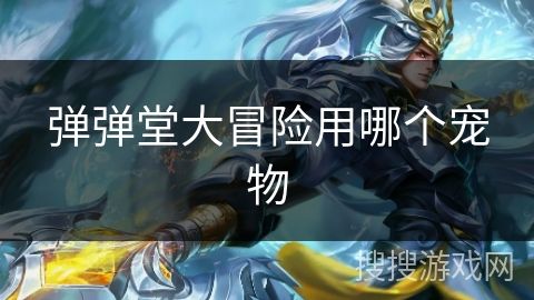 弹弹堂大冒险用哪个宠物