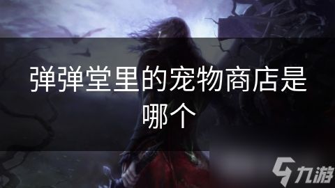 弹弹堂里的宠物商店是哪个