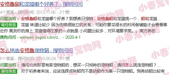 小龙貂和安格鲁貂怎么区分