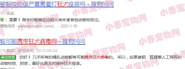 宠物貂携带狂犬病毒吗