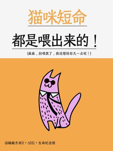 猫咪不能吃的食物有哪些？
